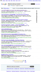 Google answers the big questions.