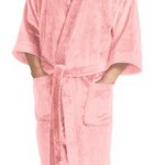 William Lane Craig: The Bathrobe